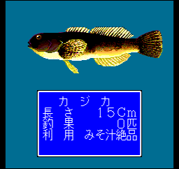 川のぬし釣り 自然派 川のぬし釣り 自然派
