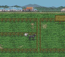 スーパー競馬2