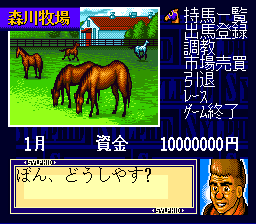 スーパー競走馬 風のシルフィード